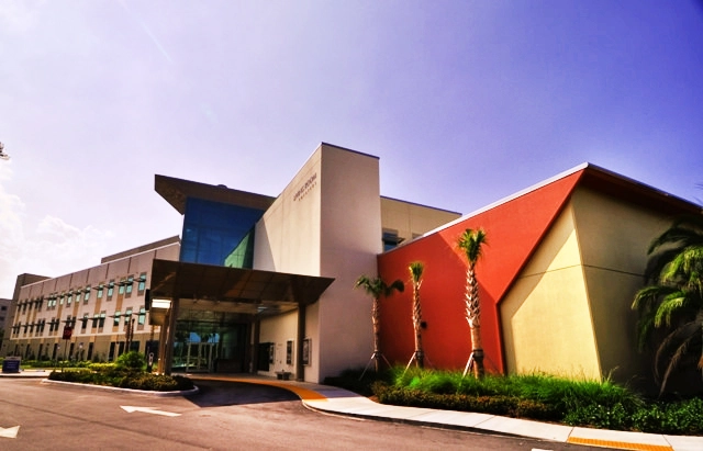 coolwall painting Orlando